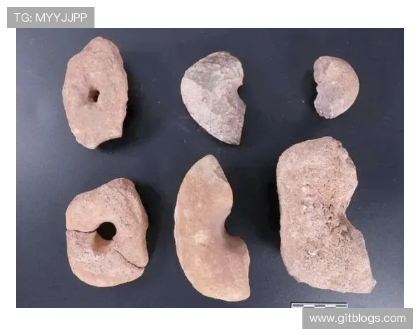 探索布莱克尼的魅力与历史深度揭示其在现代社会中的独特地位与影响力