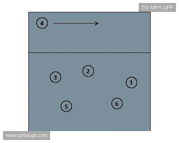 上海排球队在冠军赛中的速度优势与战术解析 上海排球队在冠军赛中的速度优势与战术解析