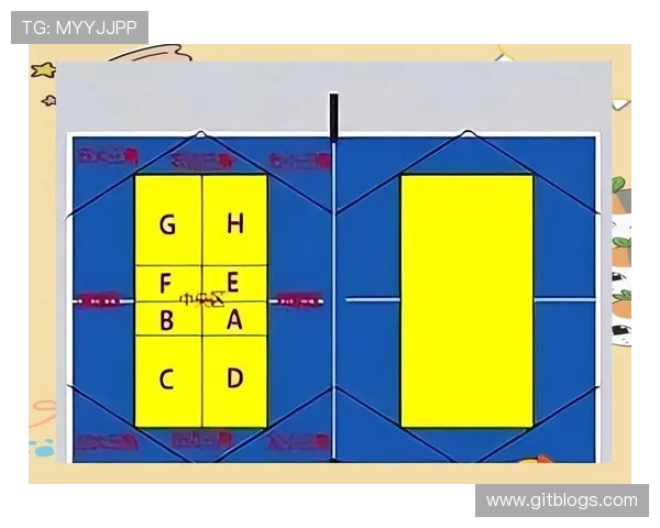 周娜独家分享网球心得与技巧助你提升球技的秘诀与经验