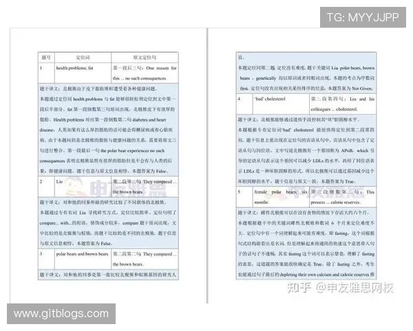独家解析：WE品牌耐力测试全面对比与评估分析